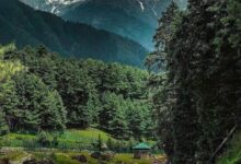 Best Tour Operator in Kashmir