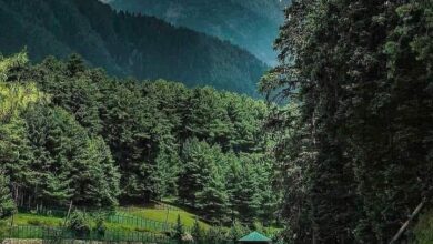 Best Tour Operator in Kashmir