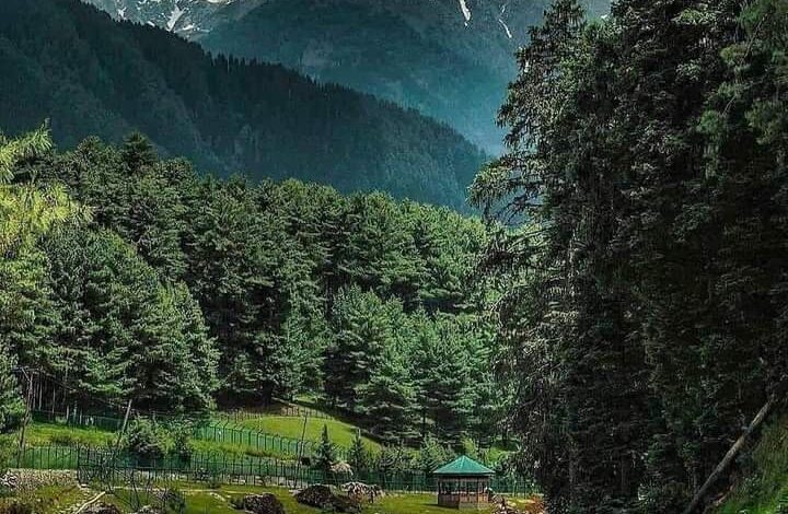 Best Tour Operator in Kashmir