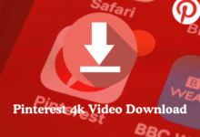Pinterest 4k Video Download